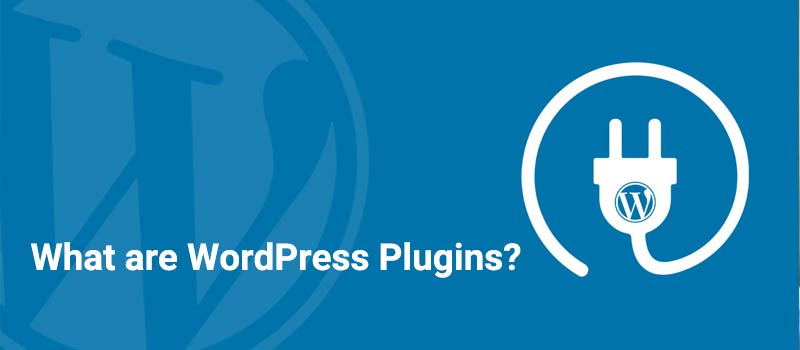 What are WordPress plugins?